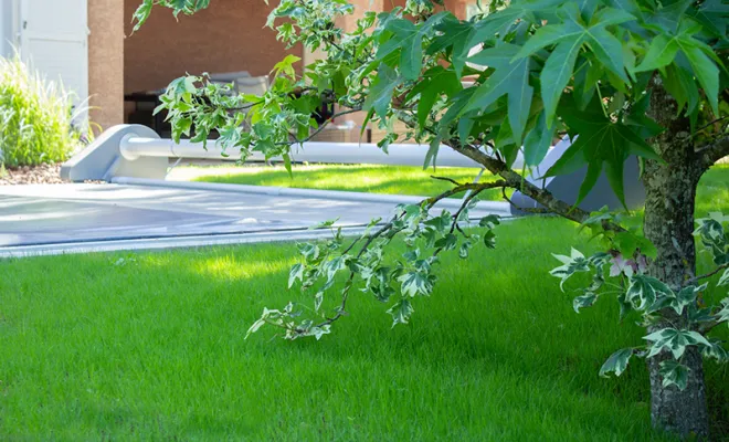 Aménagement de jardin, Sainte-Foy-lès-Lyon, PERRIN Paysage