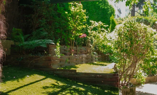 Aménagement de jardin, Sainte-Foy-lès-Lyon, PERRIN Paysage