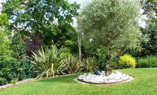 Aménagement de jardin, Sainte-Foy-lès-Lyon, PERRIN Paysage
