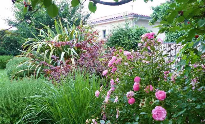 Aménagement de jardin, Sainte-Foy-lès-Lyon, PERRIN Paysage