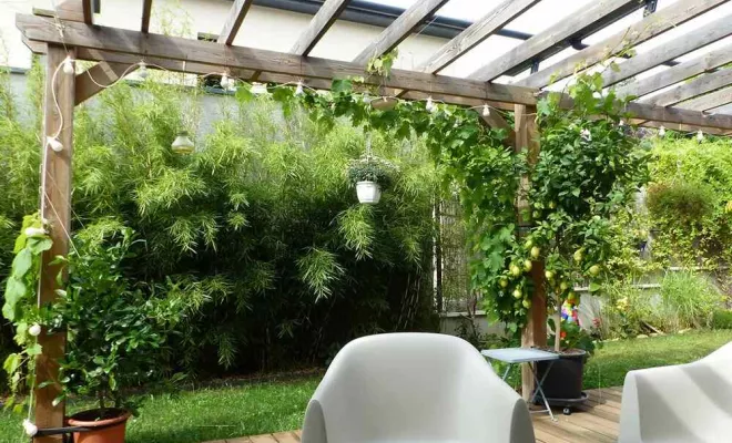 Création de clôtures, abris et pergolas, Sainte-Foy-lès-Lyon, PERRIN Paysage